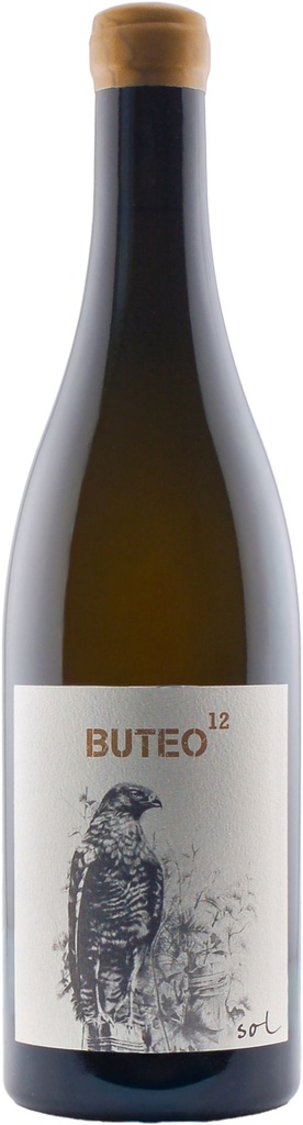 Buteo 12 2017