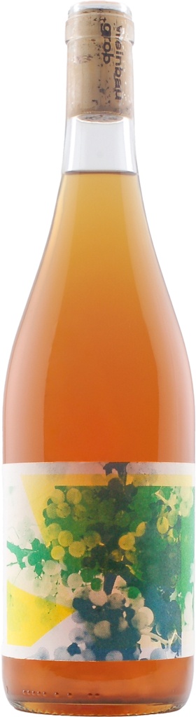 Sauvignon Blanc 2021