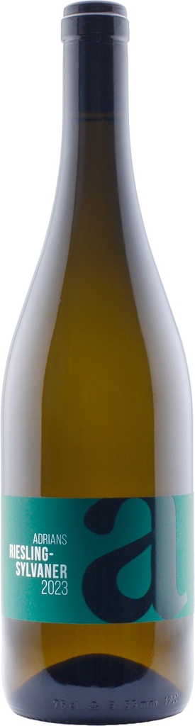 Riesling-Sylvaner 2023