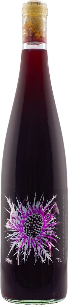 Lady Ga-Ga 2023