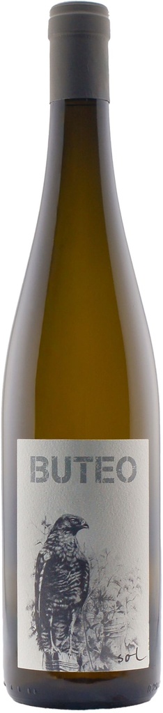 Buteo 2021
