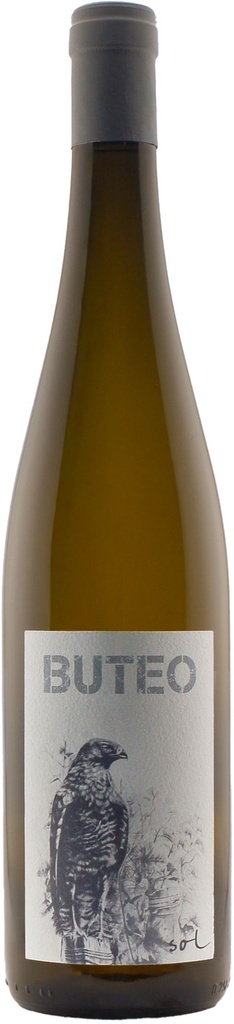 Buteo 2021