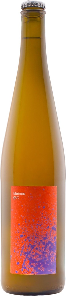 Traminer x Pinot Blanc orange 2024