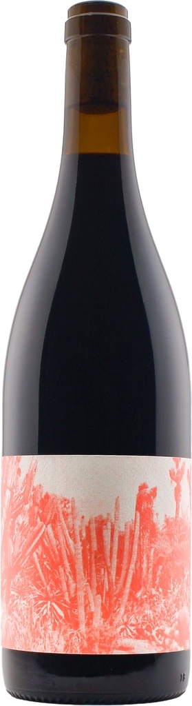 Creature of the Night 2023