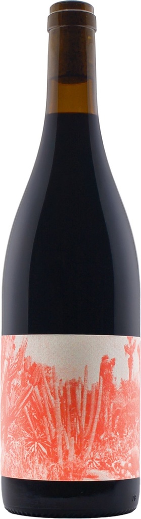 Creature of the Night 2023