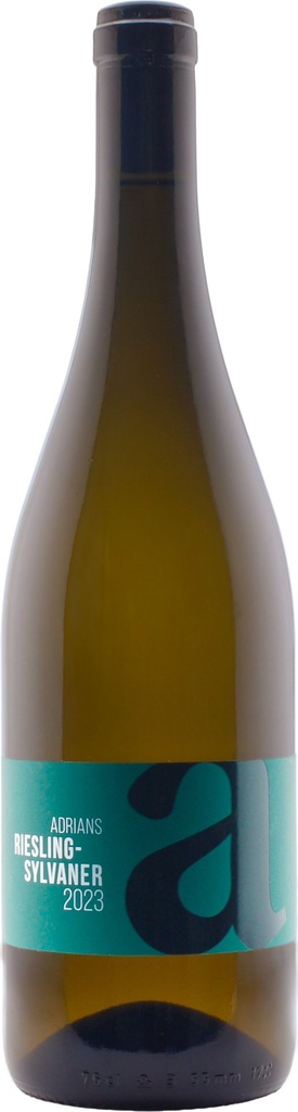 Riesling-Sylvaner 2024