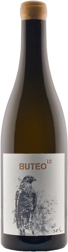 Buteo 12 2017