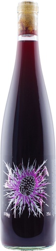 Lady Ga-Ga 2022