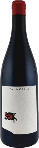 Pannobile 2019