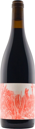 Creature of the Night 2023