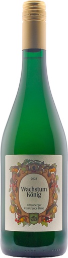 Conference Birne 2023