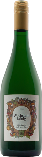 Conference Birne 2023