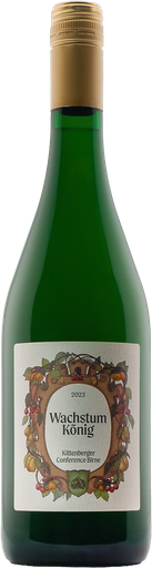 Conference Birne 2023